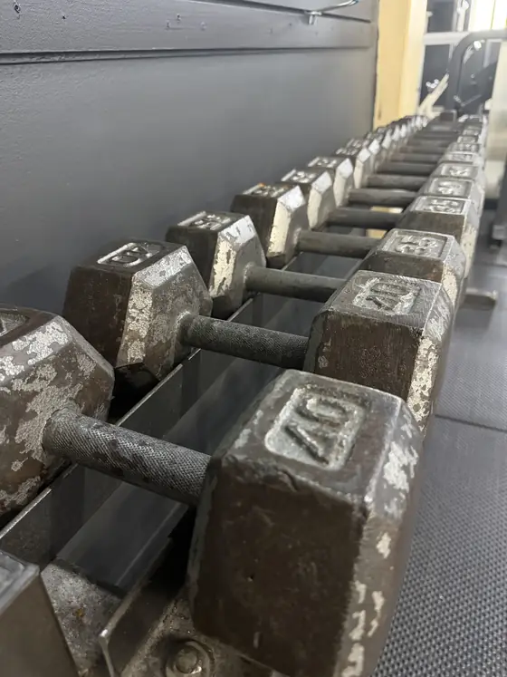 Hex dumbbells racked at Legacy Gym