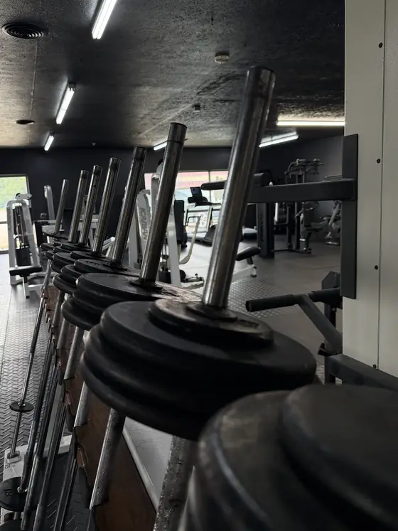 Plate loaded machines at Legacy Gym